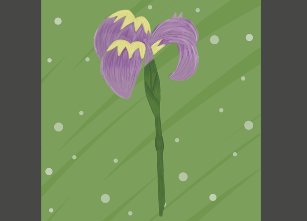 Iris